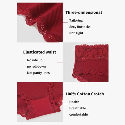 6-Pack Cotton Lace Bikini Panties S-XXL