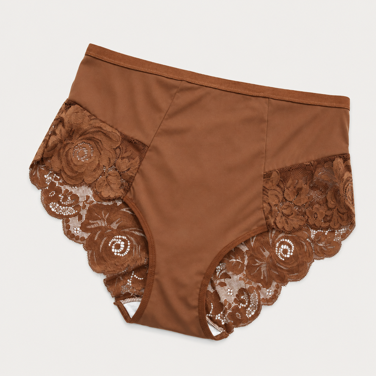 6-Pack Plus Size Lace Full Coverage Briefs
