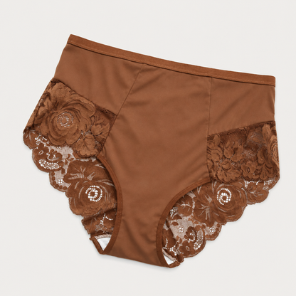 6-Pack Plus Size Lace Full Coverage Briefs