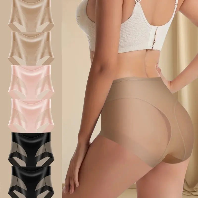 Sheer Mesh Tummy Control Briefs (6-Pack)