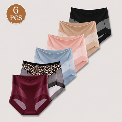 Sheer Mesh Tummy Control Briefs (6-Pack)