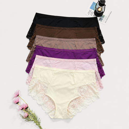 6-Pack Plus Size Lace Full Coverage Briefs